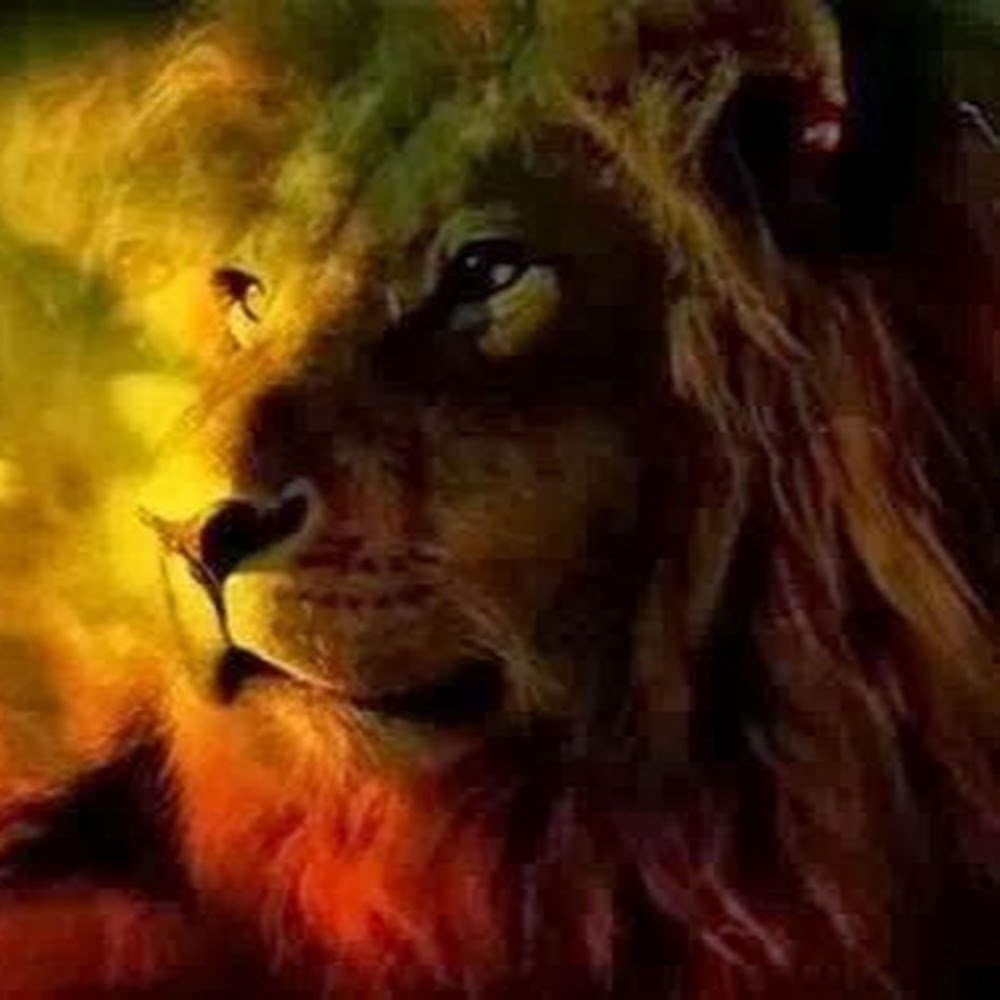 Meet your Posher, Trent